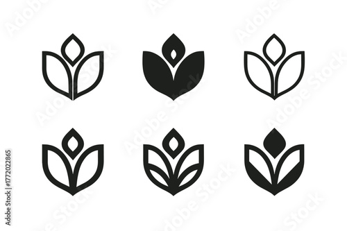 Logo Variants Grid. Post mockups for client approval. Set Logo of Post mockups for client approval: Before/after split post. Icon set. harmonious