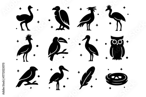 Savanna Birds Icons. Savanna Birds. Solid icons set of Savanna Birds: ostrich, vulture, secretary bird, crowned crane, hornbill, flamingo, weaver bird, stork,