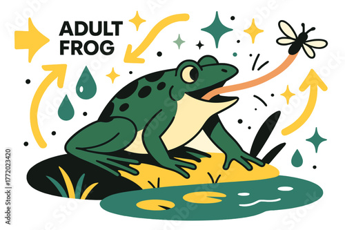 Frog's Dynamic Meal. Frog lifecycle. Adult frog catching insect with tongue near pond with abstract floating arrows, water droplets, and sparkles; emphasizes
