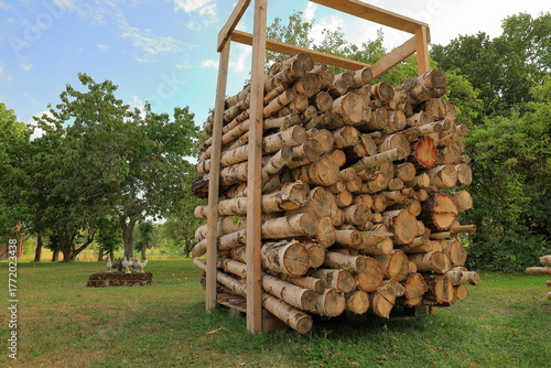 Plenty of wood.Summer day. Birch tree in a pile.