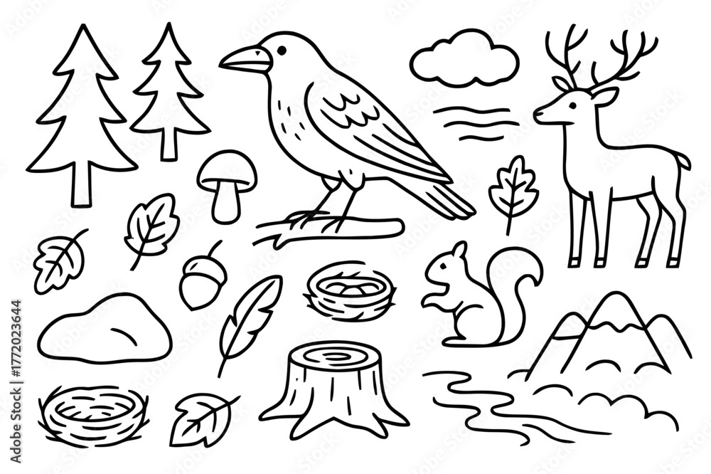 Fototapeta premium Raven and Forest Doodles. Raven and forest. Hand-drawn doodle illustration Raven and forest pine tree, branch, mushroom, rock, fallen leaf, nest, acorn, river,
