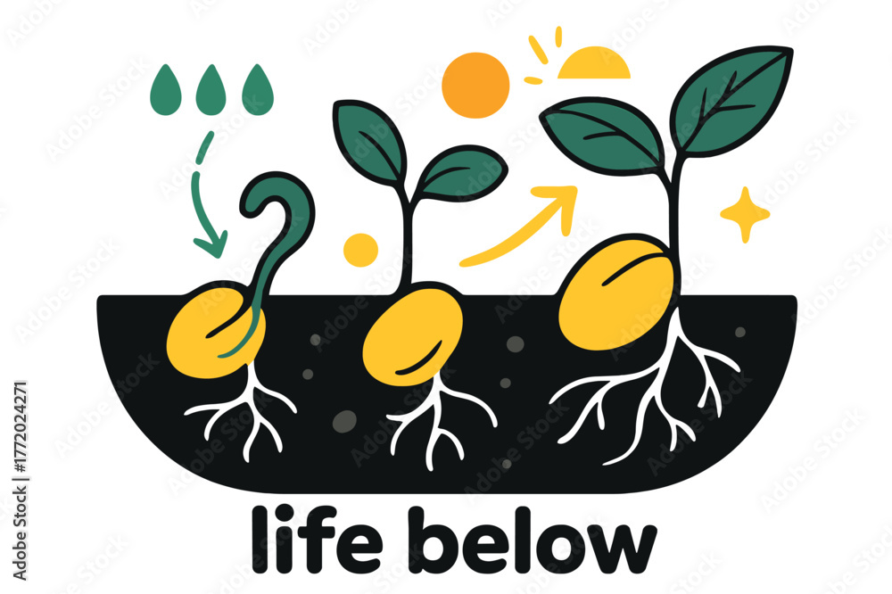Obraz premium Germination Dynamics. Seeds ? Germination. Underground view of roots and shoots forming; thin arrows show water flow and light direction. Caption ?life below?.
