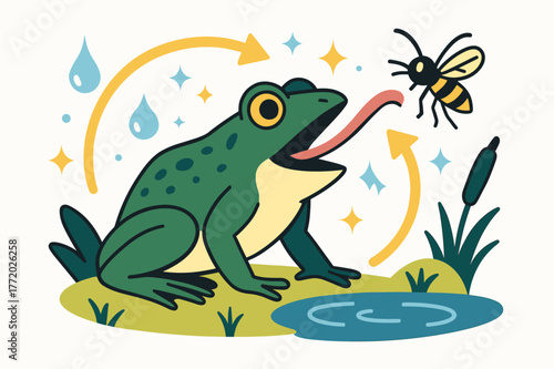 Lively Frog Life Cycle. Frog lifecycle. Adult frog catching insect with tongue near pond with abstract floating arrows, water droplets, and sparkles;