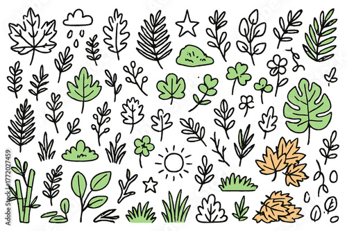 Vibrant Hand-Drawn Foliage. Tropical foliage. Hand-drawn doodle illustration maple leaves (colored), oak leaves (colored), fern fronds (colored), ivy