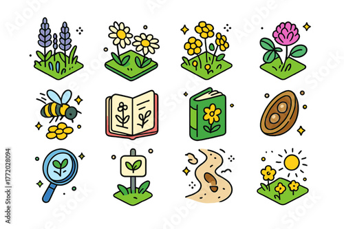 Colorful Wildflower Icons. Wildflower observation. Colorful isometric vector icons set of Wildflower observation: lupine field, daisy bloom, buttercup patch,