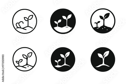 Seedling Logo Variations. Time-lapse photography. Set Logo of Time-lapse photography: Growing seedling stages. Icon set. harmonious logo variations of the same