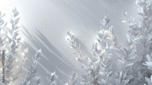 white orchid snow winter background template magazine cover advertisement beauty fashion branch flowers drops	