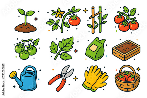Tomato Plant Icons. Tomato plant. Colorful isometric vector icons set of Tomato plant: young tomato seedling, flowering tomato vine, ripe red tomato cluster,