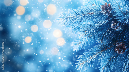 winter forest nature plants flowers snow blue white background new year Christmas winter holidays seasons template wallpaper	