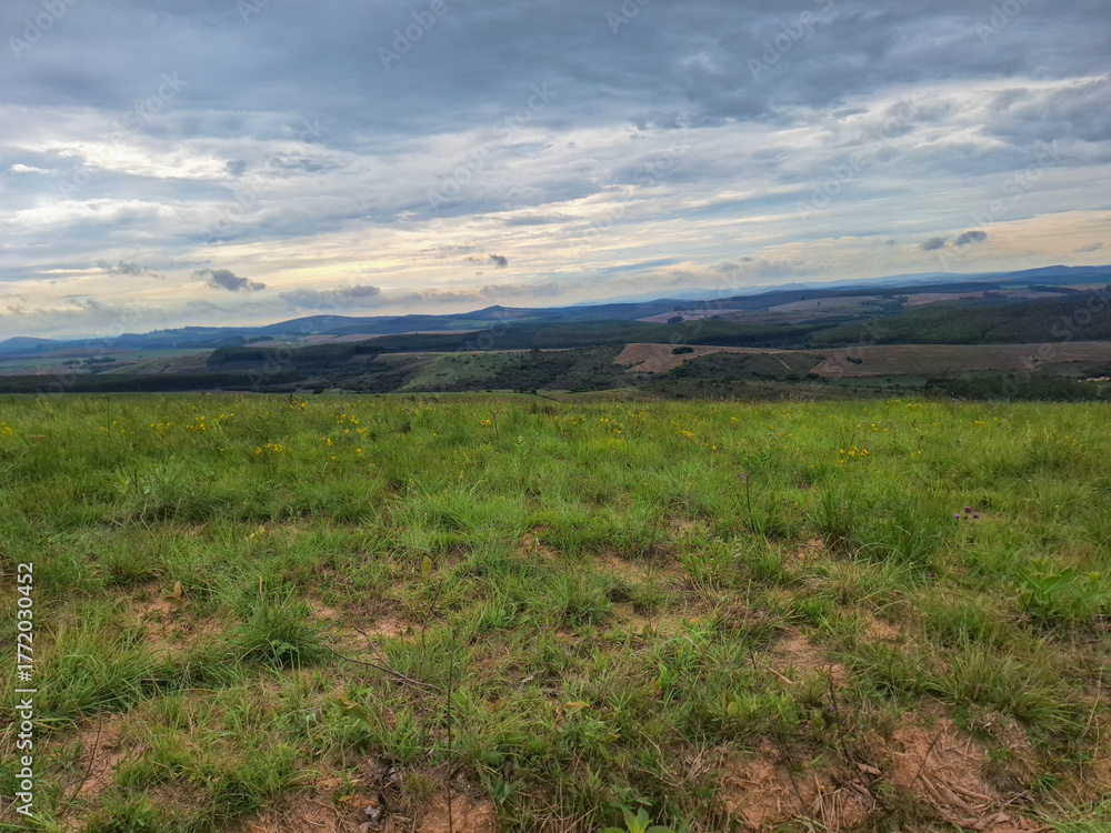 Fototapeta premium Expansive Green Meadow with Rolling Hills Under Cloudy Sky