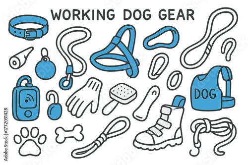 Working Dog Accessories. Working dog gear. Hand-drawn doodle illustration working dog gear [collar (accented), harness (accented), leash (accented), whistle,