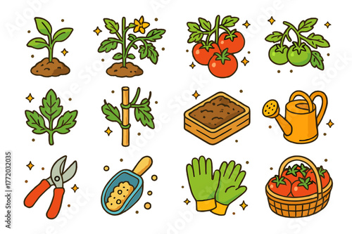 Tomato Plant Icons. Tomato plant. Colorful isometric vector icons set of Tomato plant: young tomato seedling, flowering tomato vine, ripe red tomato cluster,