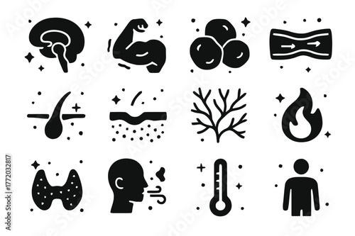 Body Heat Icons. How the human body stays warm. Solid icons set of How the human body stays warm: hypothalamus, shivering muscles, brown fat, vasoconstricted