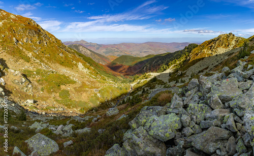 A scenic stream originating from Small Jažinačko Lake (Liqeni i Vogël i Jazhincës) on the Šar Mountains, framed by autumn trees and fallen foliage