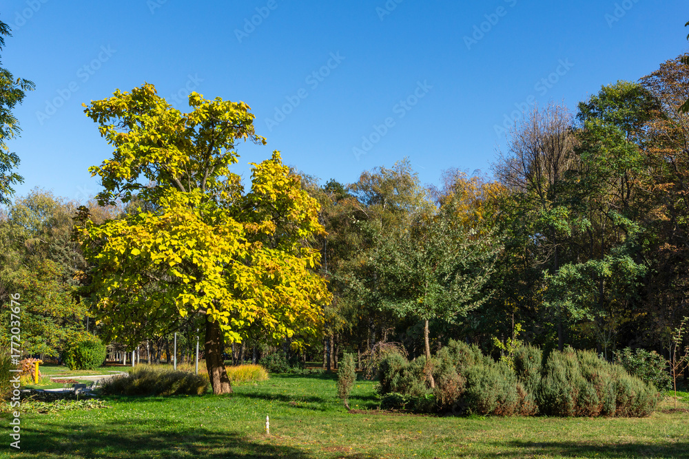 Naklejka premium Autumn view of South Park in city of Sofia, Bulgaria