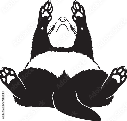 Playful ferret rolling on back with paws up funny cute animal art