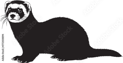 Adorable silhouetted ferret posing with whiskers and distinctive markings a cute pet animal