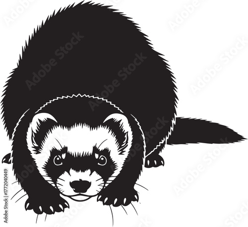 Intense black and white ferret portrait majestic wild animal focused gaze domesticated pet art style fierce creature