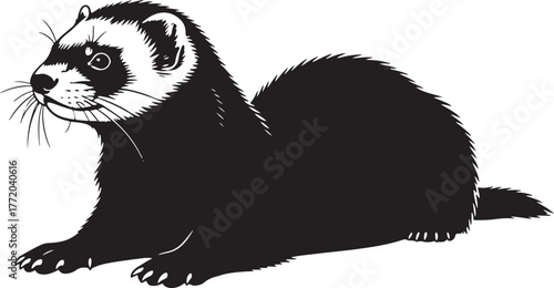 Adorable ferret lying down captured in striking black and white silhouette artistic render captivating pet portrait