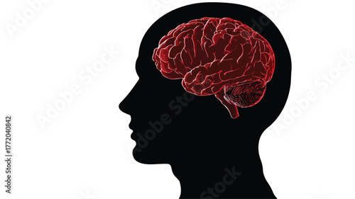 Black Silhouette Human Head Red Brain Vector Illustration