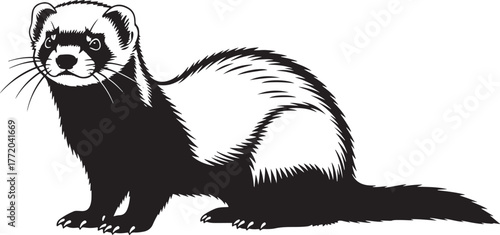 Adorable ferret illustration black and white cute pet animal drawing for animal lovers and wildlife enthusiasts