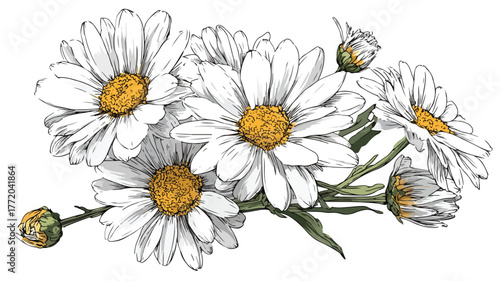 Vibrant Daisy Flowers Bouquet Illustration for Design Projects