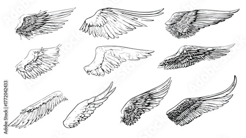Feathered Avian Wings Vector Set for Professional Designs