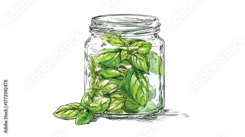 Fresh Basil Herb Jar for Restaurant Menu Design - Vector Illustration