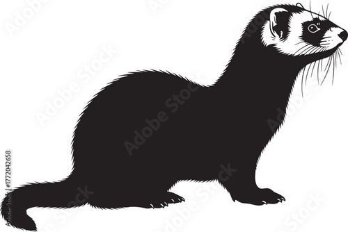 Cute ferret silhouette black and white profile view of a domestic ferret posing gracefully animal pet wild nature charm