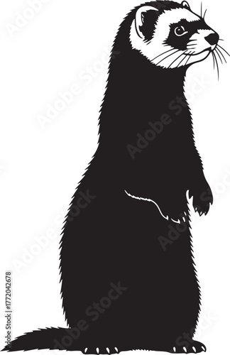 Alert standing ferret silhouette art captures playful spirit of domesticated mustelid wildlife