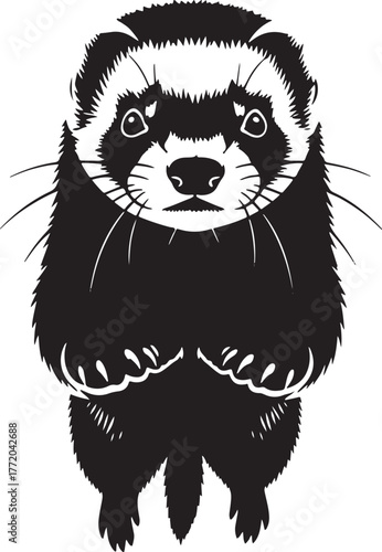 Adorable ferret portrait cute mammal animal face detailed black and white drawing wildlife photography
