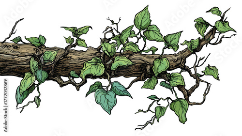Tangled Woody Vine Climbing Among Trees Vector