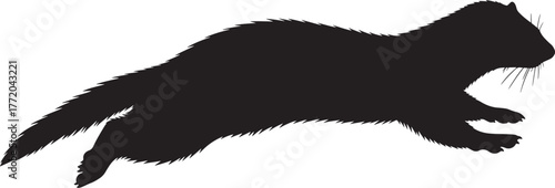 Dynamic silhouette of a ferret in mid-stride capturing its agile movement and sleek form