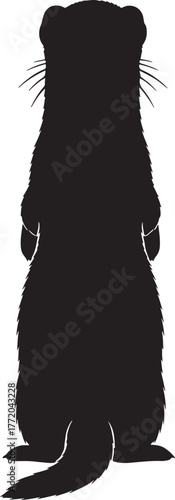 Silhouette of a ferret standing upright isolated on a capturing its playful pose