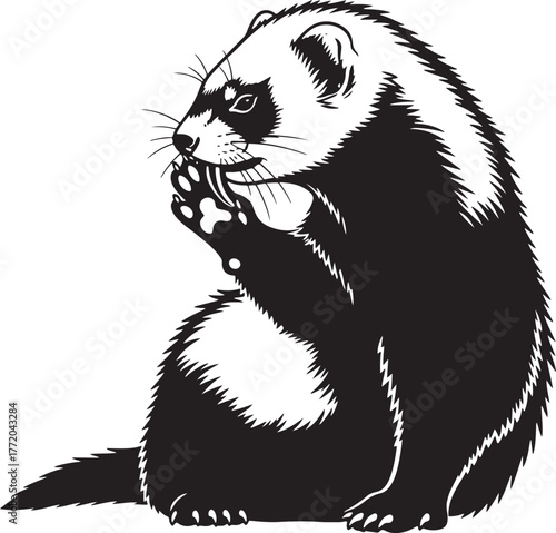 Black and white ferret image charming ferret sitting and nibbling with detailed fur texture realistic animal art