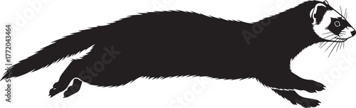 Black silhouette ferret running motion dynamic pose wild animal mammal pet domesticated cute