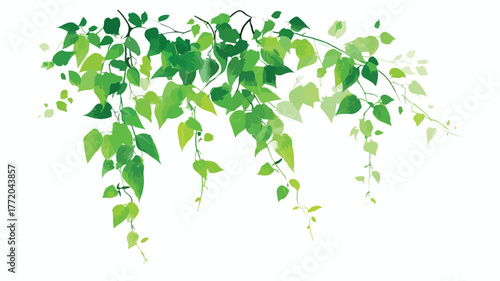 Lush Green Tropical Plant Background with Vibrant Climbing Liana Vine