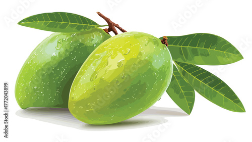 Vibrant Green Mango Vector Art on White Background for Creative Projects