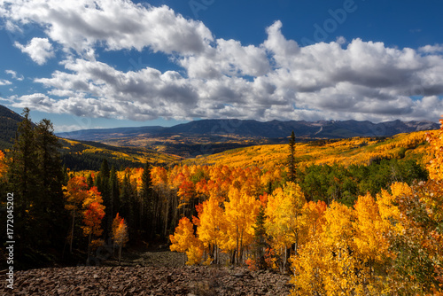 Mountain Autumn Landscape