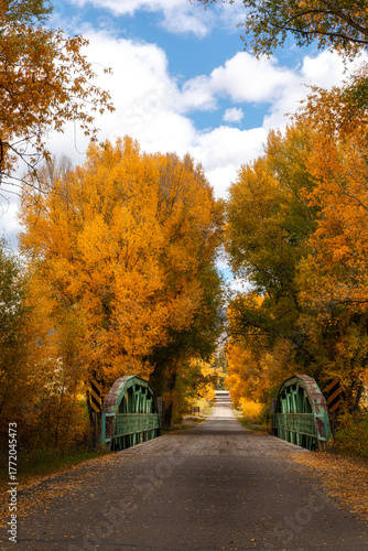 metal bridge in autumn