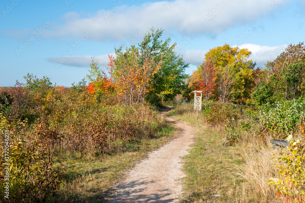 Fototapeta premium A gravel hiking trail with turns and twists. There's a wooden archway among the autumn foliage. The landscape has red, gold, orange, and green leaves on the trees of various sizes. The path is empty.