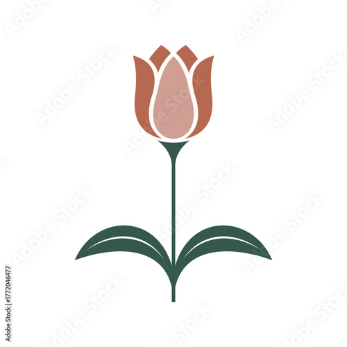 Minimalist Tulip Flower Vector Illustration