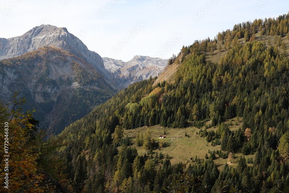 Obraz premium Chalet au milieu d'une vallée Suisse