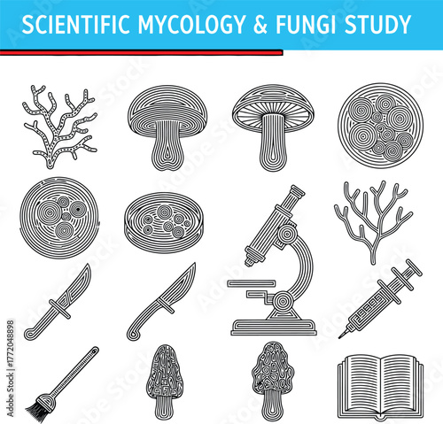 Scientific Mycology and Fungi Study Vector Icon Set – Minimal Organic Double Line Biology Illustrations perfect for educational materials, laboratory graphics, scientific infographics.