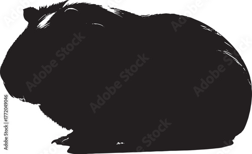 Tableau sur toile Adorable guinea pig silhouette isolated on white pet animal cute rodent cavy dom