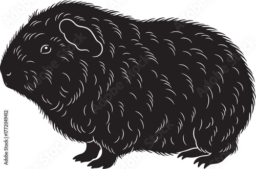 Charming black guinea pig portrait cute fluffy rodent pet animal sitting naturally isolated graphic