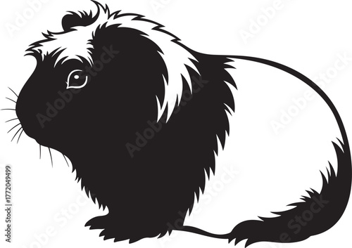 Cute black and white guinea pig pet animal profile image profile view sitting small furry mammal adorable rodent domestic pet
