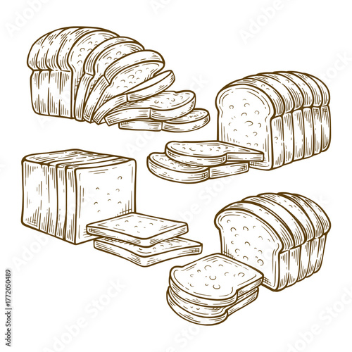 Set of white bread hand drawn illustration. White bread vector line art collection

