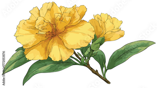 Vibrant Yellow Flower with Lush Green Leaves Vector Illustration