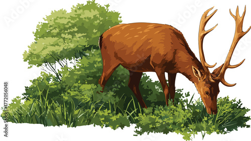 Majestic Cute Brown Deer with Horns Grazing in Lush Herbivore